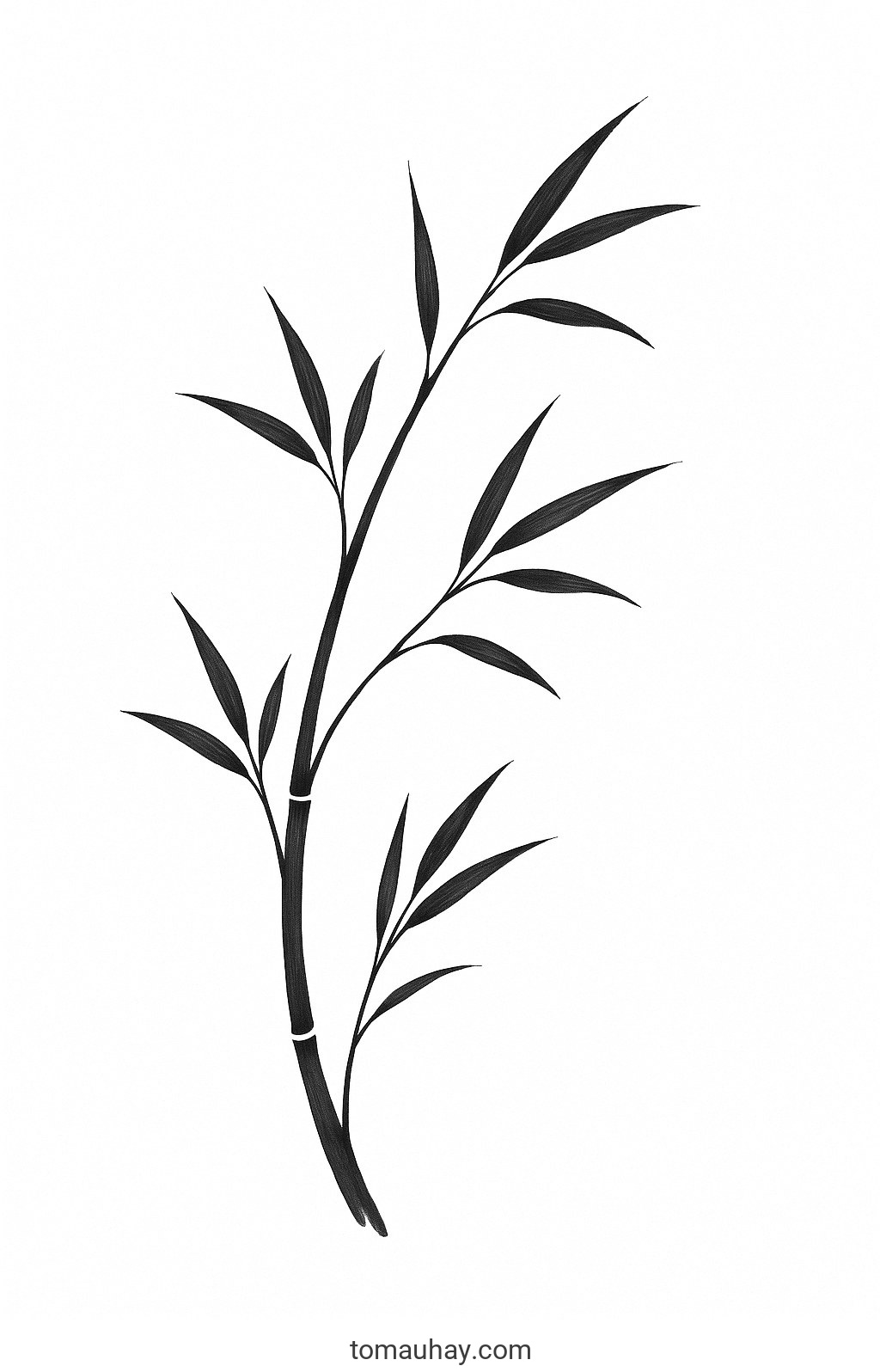 Tranh tô màu cây tre cho bé đẹp nhất 2026 dễ tải - Tranh tô màu phong cách Nhật Bản