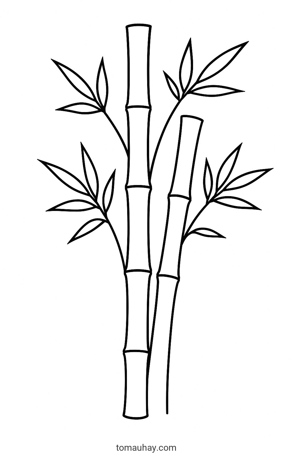 Tranh tô màu cây tre cho bé đẹp nhất 2026 dễ tải - Tranh tô màu truyền thống
