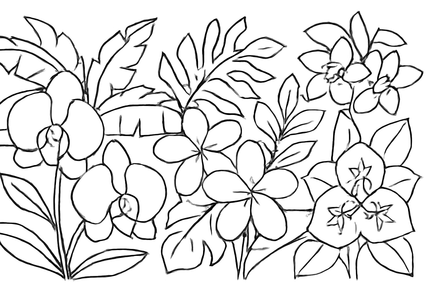 Vườn hoa nhiệt đới