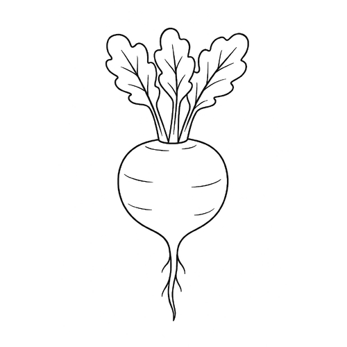 Tranh tô màu củ cải trắng cho bé đẹp nhất 2025