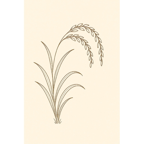 Tranh tô màu cây lúa cho bé đẹp và dễ tô nhất 2025