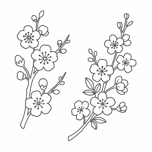 Tranh tô màu hoa mai hoa đào cho bé đẹp nhất 2025