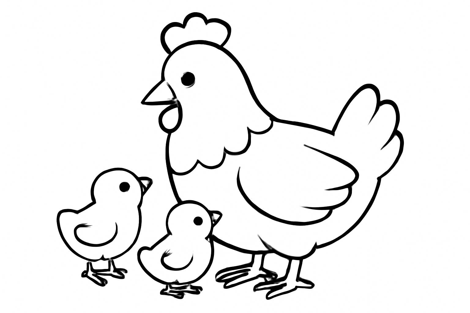 Gà mái và gà con