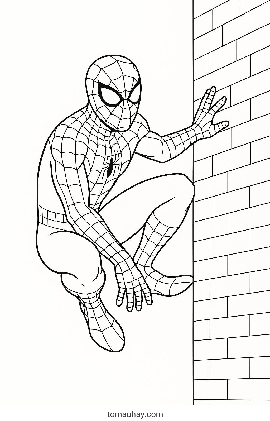 Bộ sưu tập Tô màu Người Nhện anh hùng bé rất thích - Người Nhện leo tường