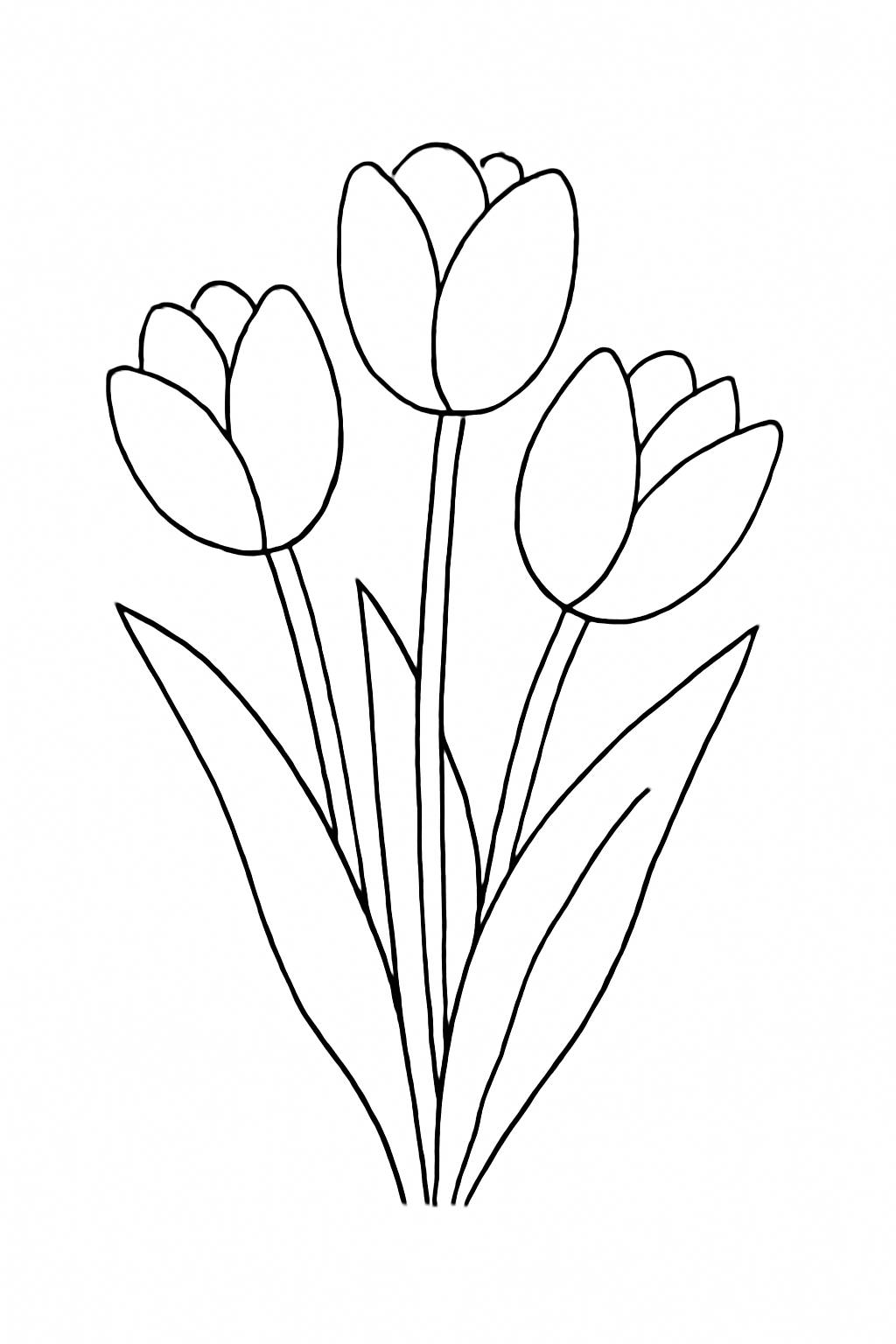 Tulip pastel