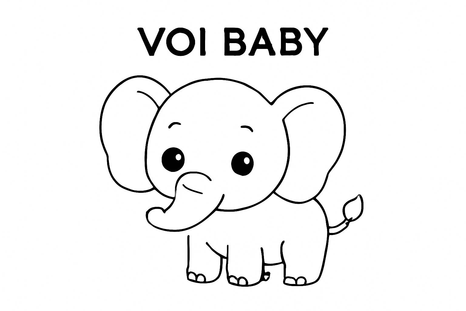 Voi Baby