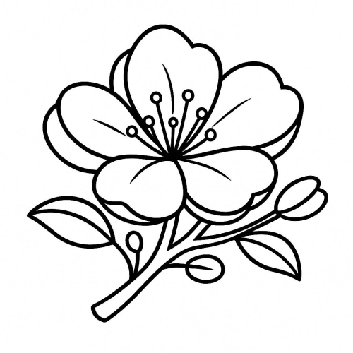 Tranh tô màu hoa mai cho bé 2025 -  dễ thương