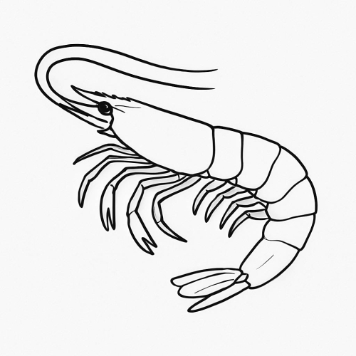 Tranh tô màu con tôm cho bé 2025 - Hình tô màu PDF dễ tải