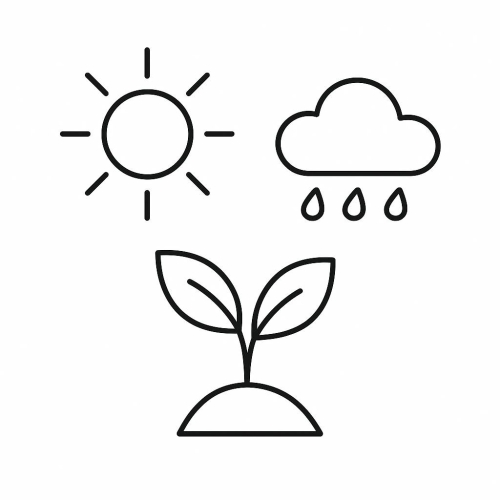 Tranh tô màu bảo vệ môi trường cho bé 2025 - PDF miễn phí