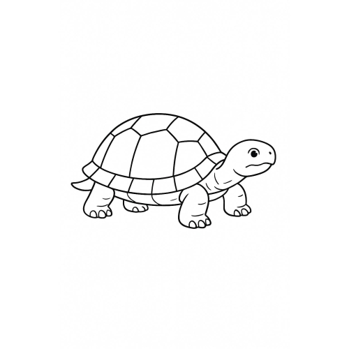Tô màu con rùa cho bé – Hình tô màu rùa PDF miễn phí