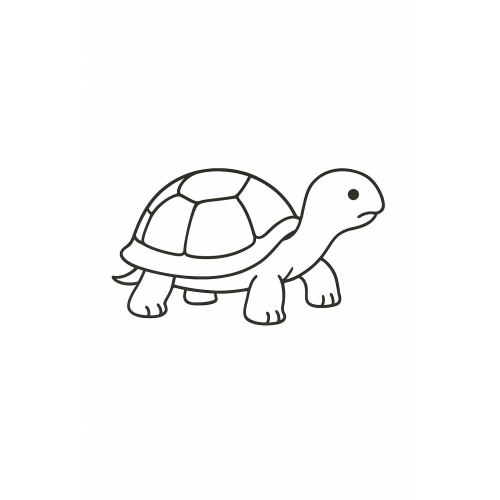 Tô màu con rùa cho bé – Hình tô màu rùa PDF miễn phí